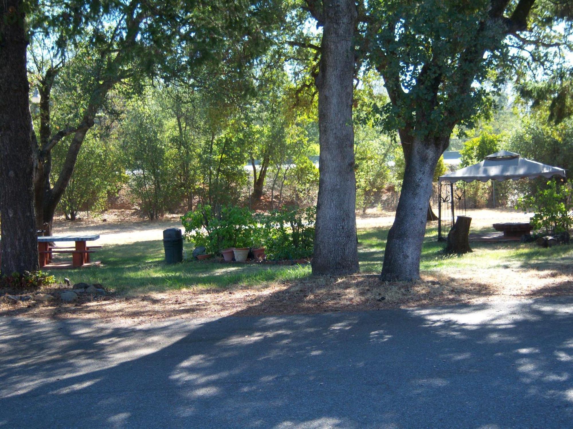 Shasta Dam Motel 샤스타호 외부 사진